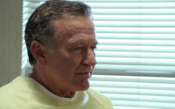 Robin Williams movie The Angriest Man in Brooklyn HD Desktop Wallpaper | Background Image