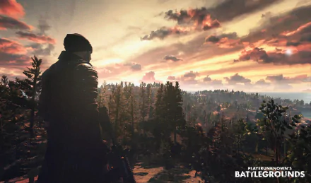 HD desktop wallpaper featuring a Playerunknown's Battlegrounds scene with a character looking over a scenic forest landscape at sunset.