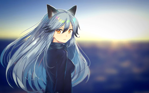 Silver Fox (Kemono Friends) Anime Kemono Friends HD Desktop Wallpaper | Background Image