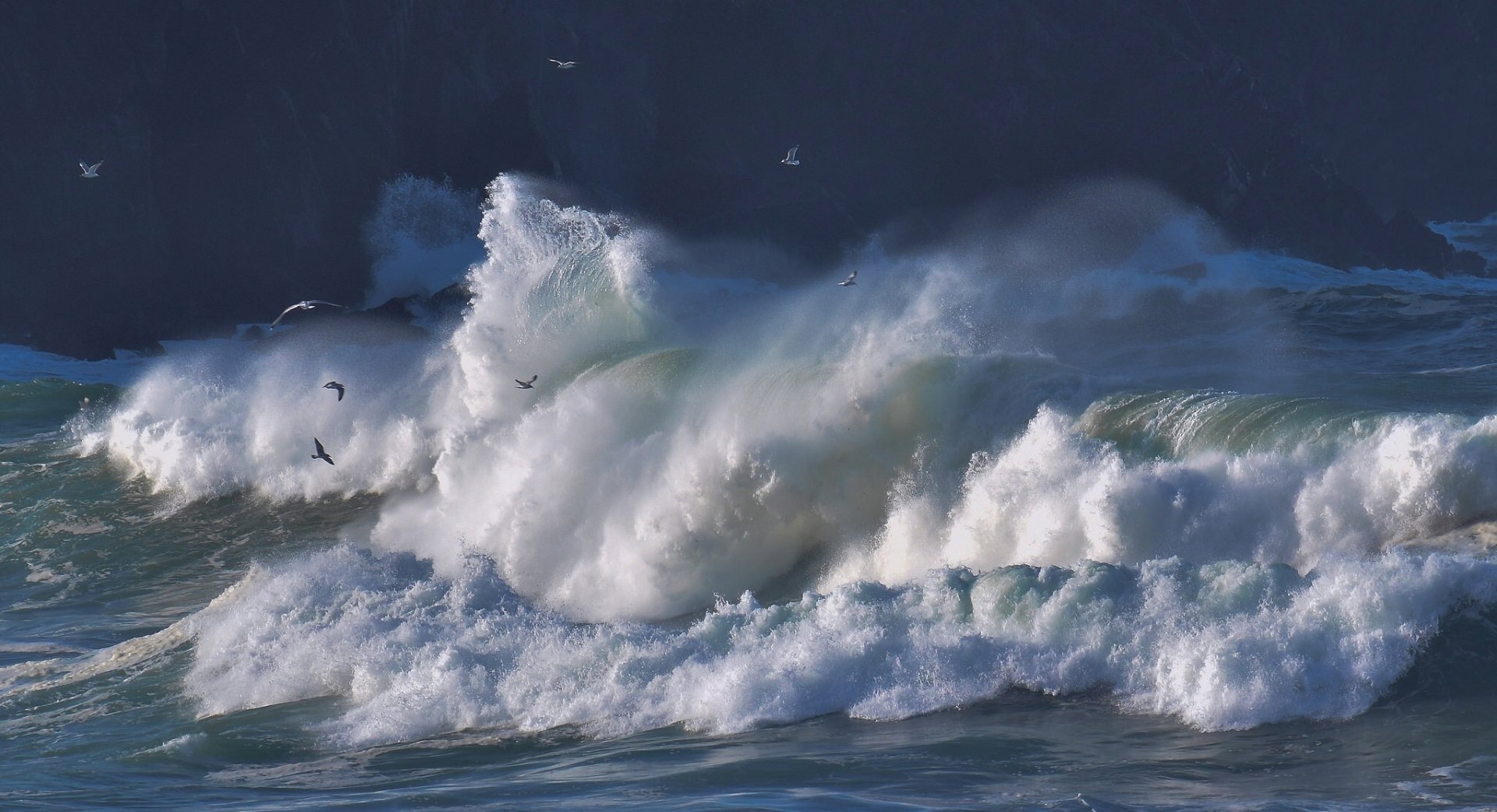 HD desktop wallpaper featuring foamy ocean waves crashing with seagulls flying above, capturing the raw beauty of nature and dynamic motion.