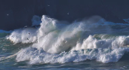 foam nature wave HD Desktop Wallpaper | Background Image