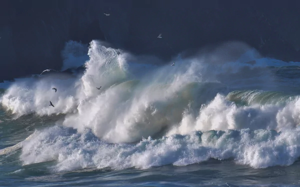 HD desktop wallpaper featuring foamy ocean waves crashing with seagulls flying above, capturing the raw beauty of nature and dynamic motion.