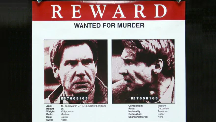 movie The Fugitive HD Desktop Wallpaper | Background Image