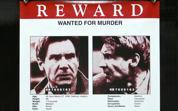 movie The Fugitive HD Desktop Wallpaper | Background Image