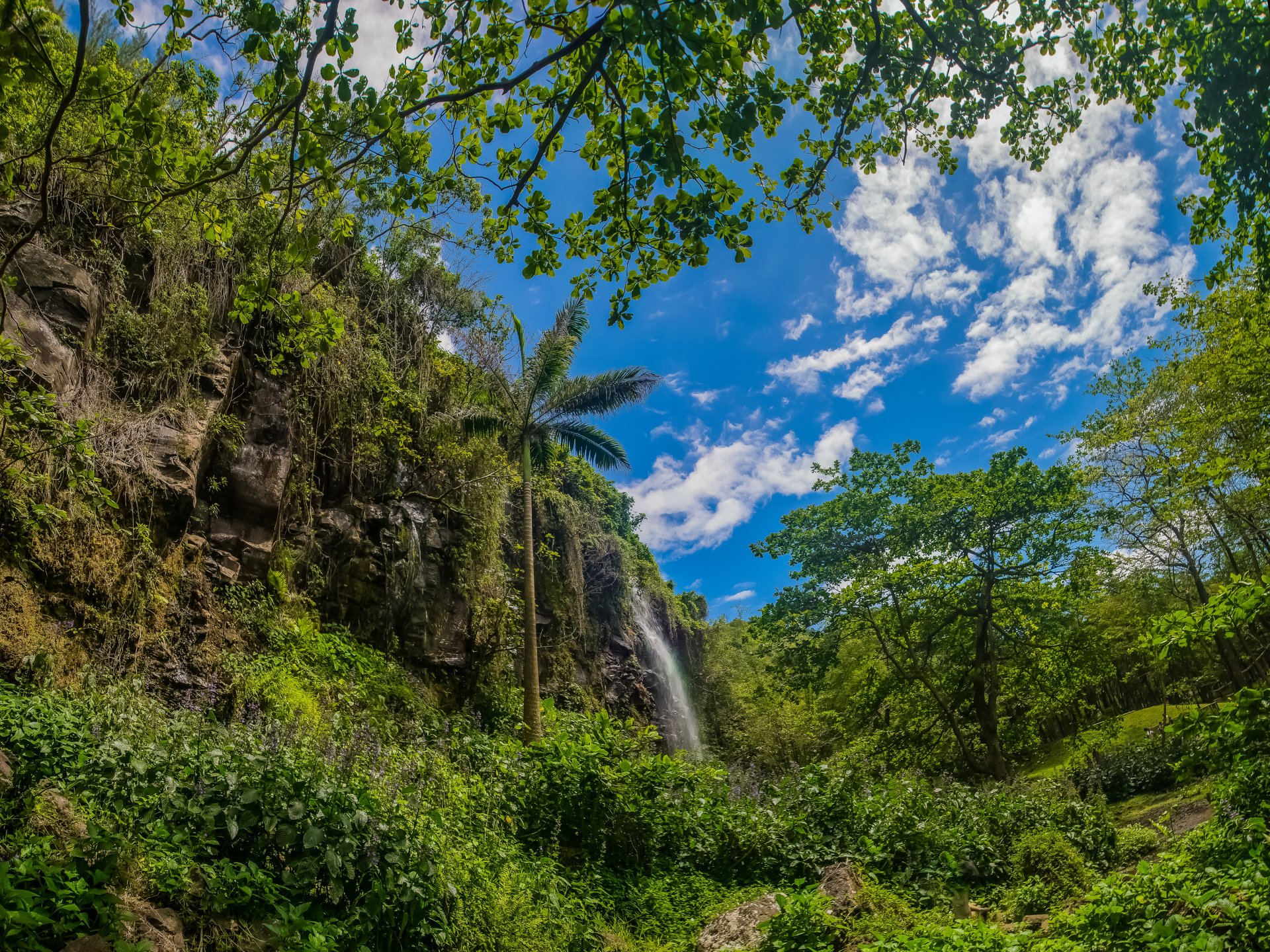 Lush green tropical jungle with a cascading waterfall under a vibrant blue sky, captured in stunning 4K Ultra HD for a vivid rainforest desktop wallpaper.