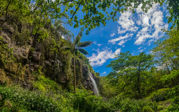Lush green tropical jungle with a cascading waterfall under a vibrant blue sky, captured in stunning 4K Ultra HD for a vivid rainforest desktop wallpaper.
