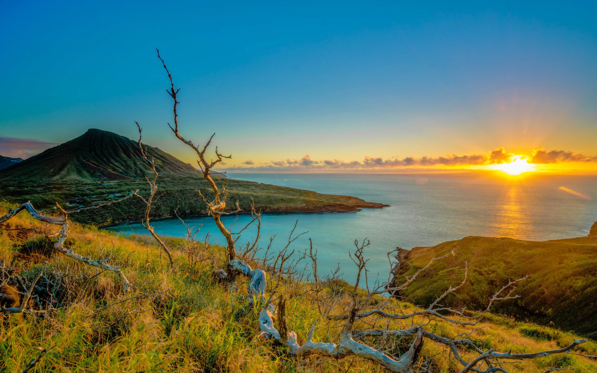 Download Sunbeam Horizon Sunrise Coast Nature Ocean 4k Ultra HD ...
