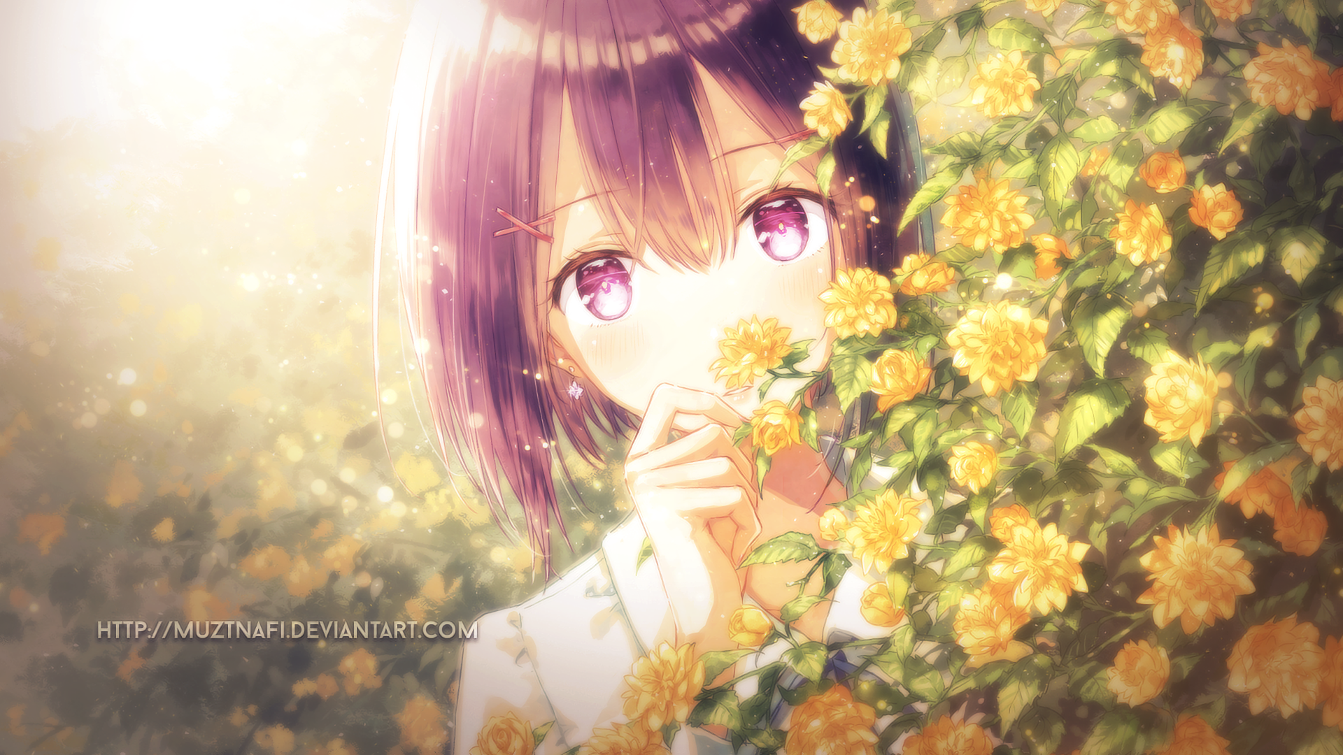 A high-definition original anime wallpaper features a girl with purple eyes peeking through yellow flowers, surrounded by warm, glowing light.