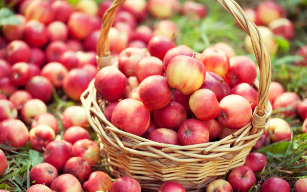 HD desktop wallpaper featuring a basket filled with fresh red apples surrounded by more apples, showcasing vibrant fruit and food imagery.