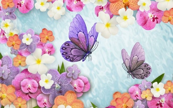 Artistic Spring Flower Butterfly Colorful Orchid HD Wallpaper | Background Image