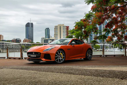 HD PC desktop wallpaper of an orange Jaguar F-Type sports car parked by a riverside with city skyline and flowering tree — high-resolution Jaguar vehicle background