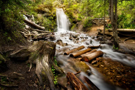 log stream nature waterfall HD Desktop Wallpaper | Background Image