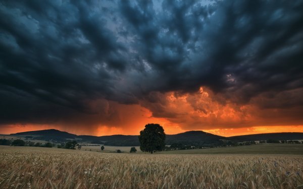 Earth Sky Sunset Cloud orange Field Landscape HD Wallpaper | Background Image