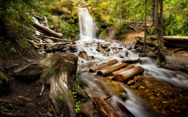 log stream nature waterfall HD Desktop Wallpaper | Background Image