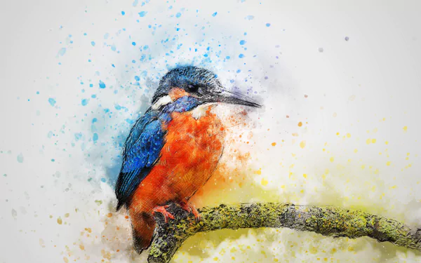  Kingfisher on a Branch Art by ractapopulous
