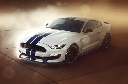  Ford Mustang Shelby Gt350 with Blue Stripes by Vlad Sorodoc