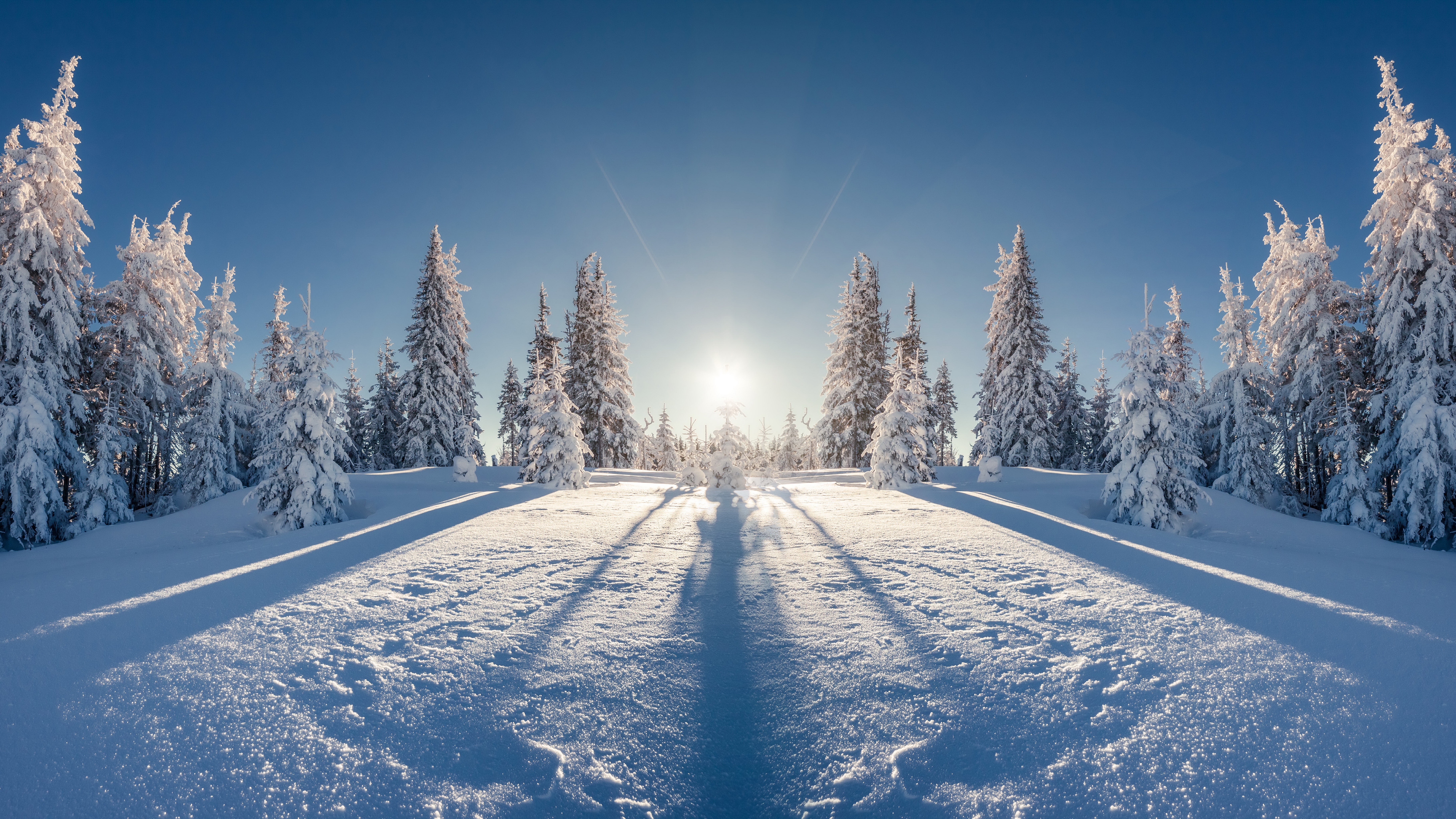 Winter 4k Ultra HD Wallpaper | Background Image | 7297x4105