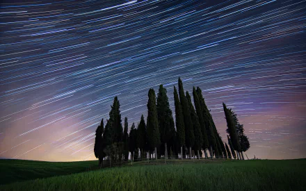 tree sky nature star trail HD Desktop Wallpaper | Background Image