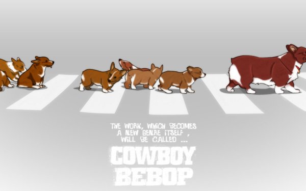 Anime Cowboy Bebop Ein HD Wallpaper | Background Image