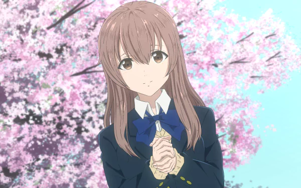 HD wallpaper featuring Shouko Nishimiya from A Silent Voice anime, standing in front of blooming cherry blossoms.