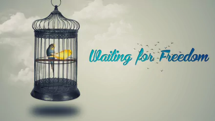  &quot;Waiting for Freedom&quot;
