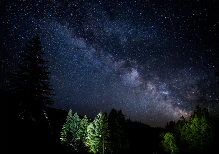 A vivid HD desktop wallpaper showcasing a starry night sky with the Milky Way stretching across, framed by dark silhouettes of trees in a sci-fi-inspired scene.