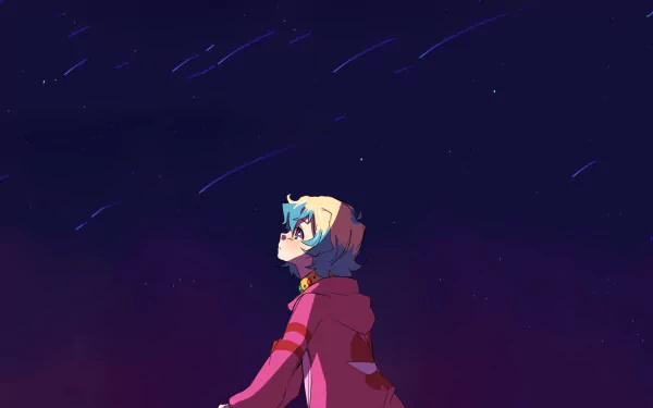 HD anime desktop wallpaper featuring Nia Teppelin from Tengen Toppa Gurren Lagann looking up at a starry night sky.