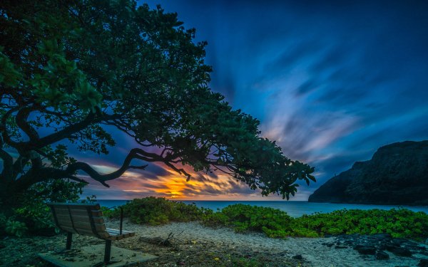 Man Made Bench Lake Sunset Tree Tropical Horizon HD Wallpaper | Background Image