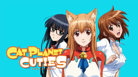 HD anime wallpaper featuring Manami Kinjou, Aoi Futaba, and Eris from Cat Planet Cuties and Asobi ni Iku yo! against a bright blue background.