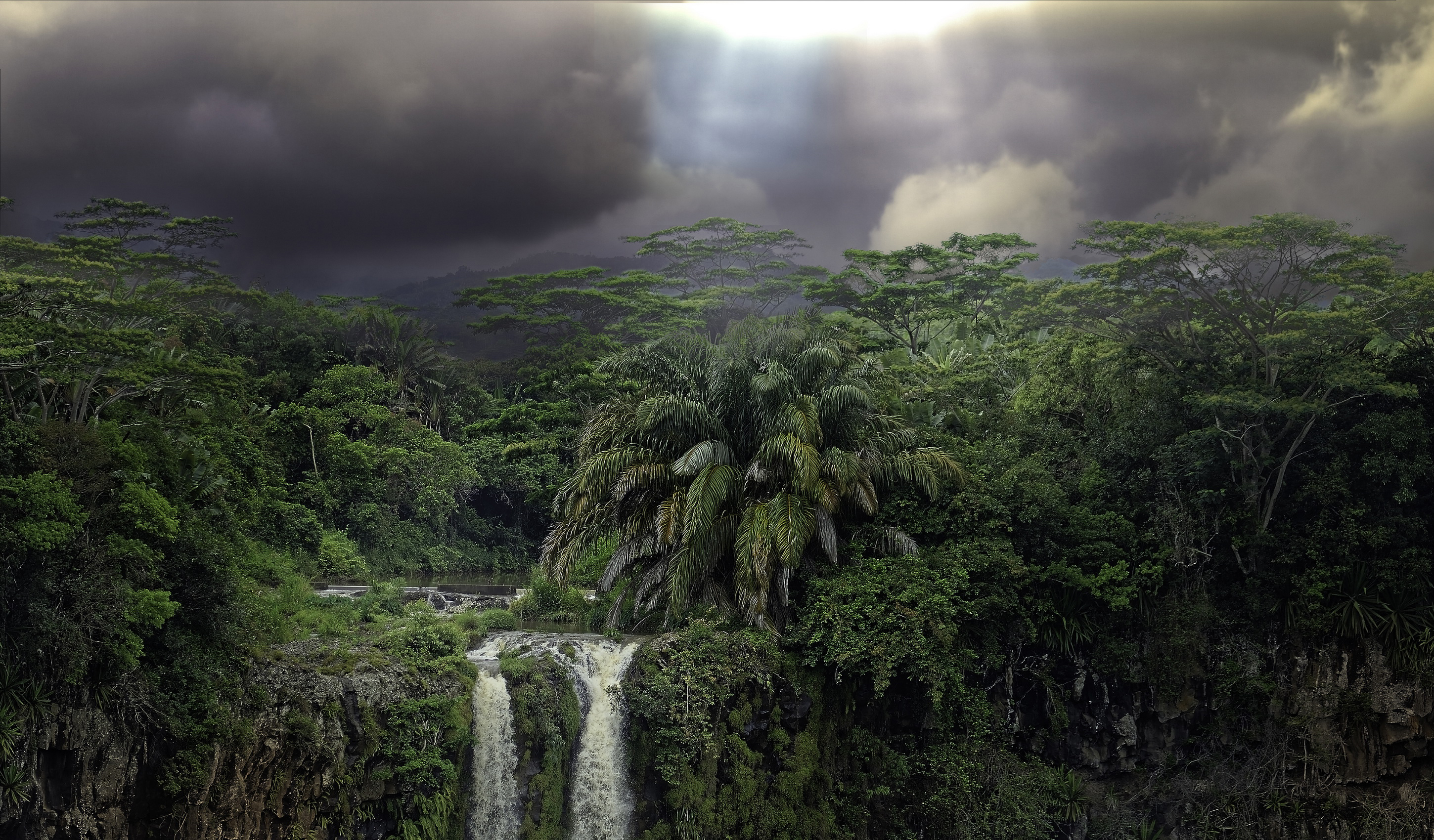 Dark Forest Wallpaper With Rainy Waterfall Dark Forest Wallpapers   Imágenes españoles