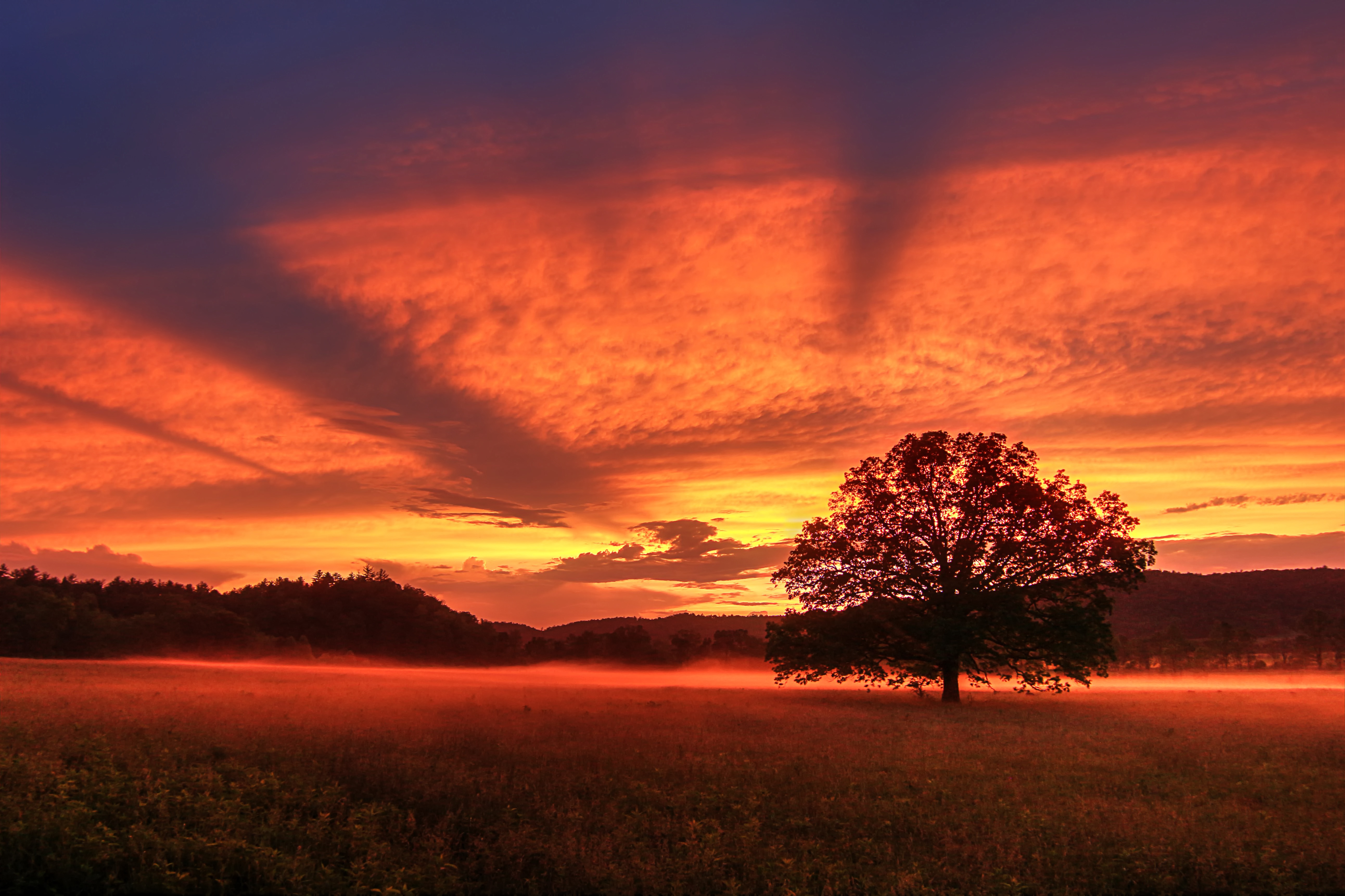 Download Cloud Sky Sunbeam Tree Nature Sunset 4k Ultra HD Wallpaper