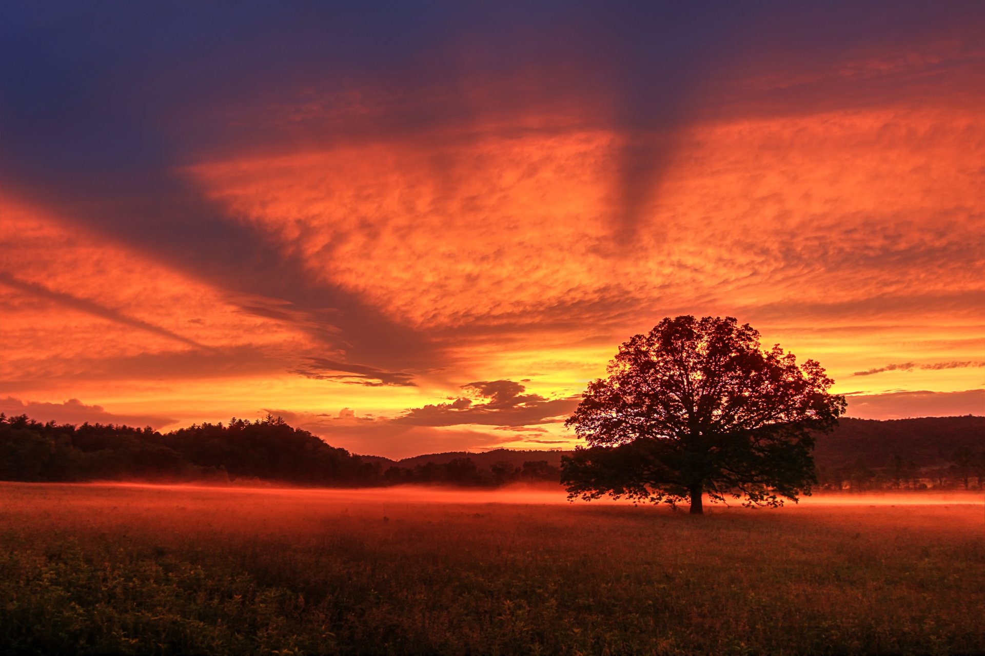 Download Cloud Sky Sunbeam Tree Nature Sunset 4k Ultra HD Wallpaper ...