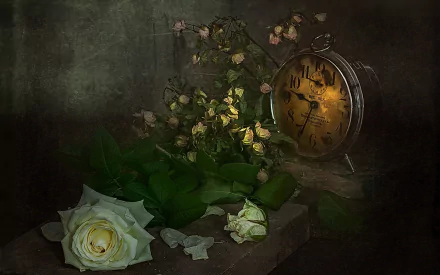 white rose clock rose flower photography still life HD Desktop Wallpaper | Background Image