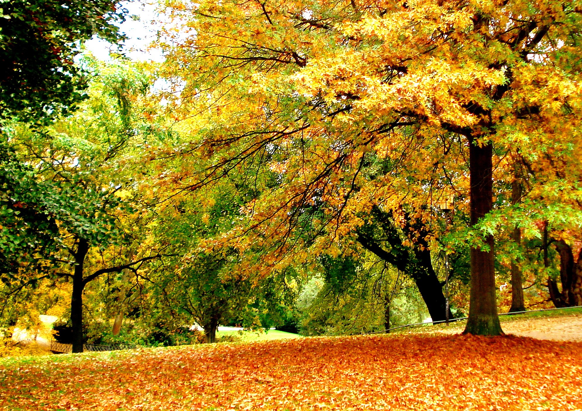 Autumn Park