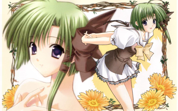 Asa Shigure Anime Shuffle! HD Desktop Wallpaper | Background Image