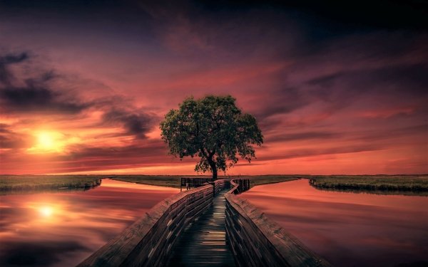 Earth Tree Trees Bridge Walkway Lake Sunset Horizon Sky HD Wallpaper | Background Image