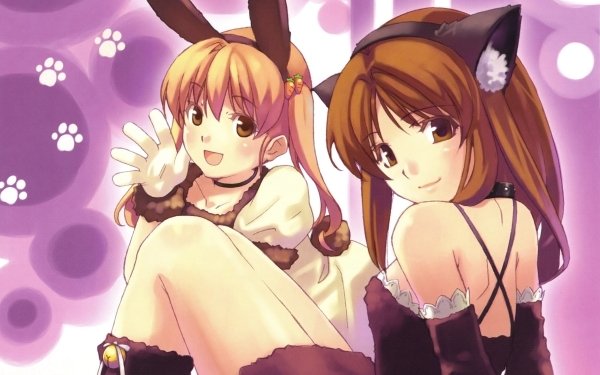 Anime Original Bunny Ears Cat Girl Bell bow Smile Blush Brown Hair Brown Eyes Twintails Tail HD Wallpaper | Background Image