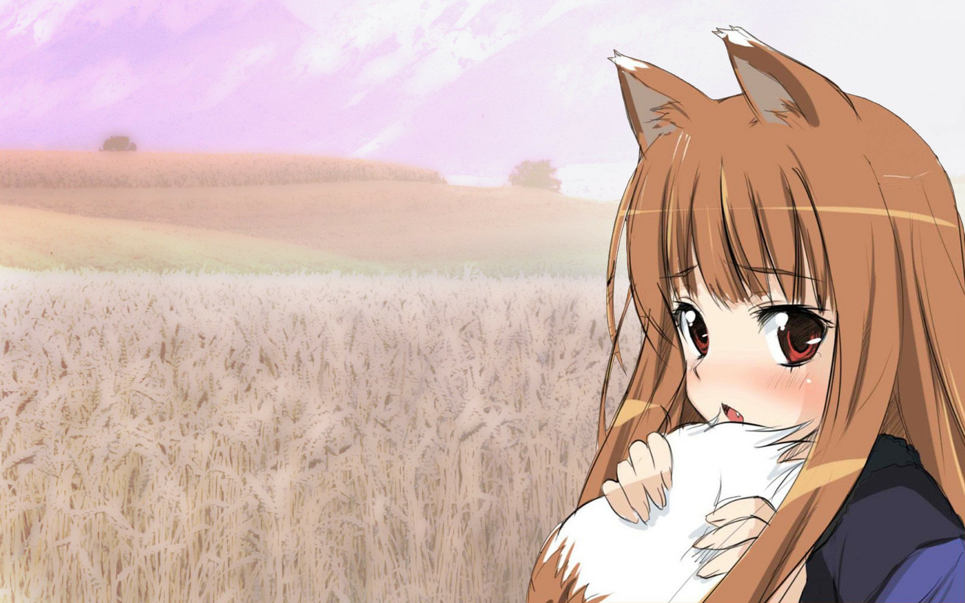 Download Holo (Spice & Wolf) Anime Spice And Wolf HD Wallpaper