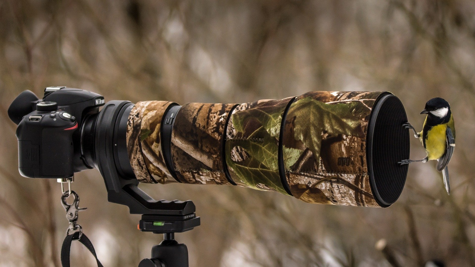 Man-made camera with long camo telephoto lens on a tripod, a small bird perched on the lens against a blurred winter backdrop — HD PC desktop wallpaper and background.