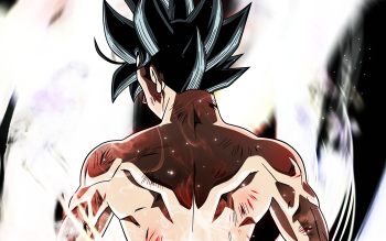 Ultra Instinct Hd Wallpaper For Android