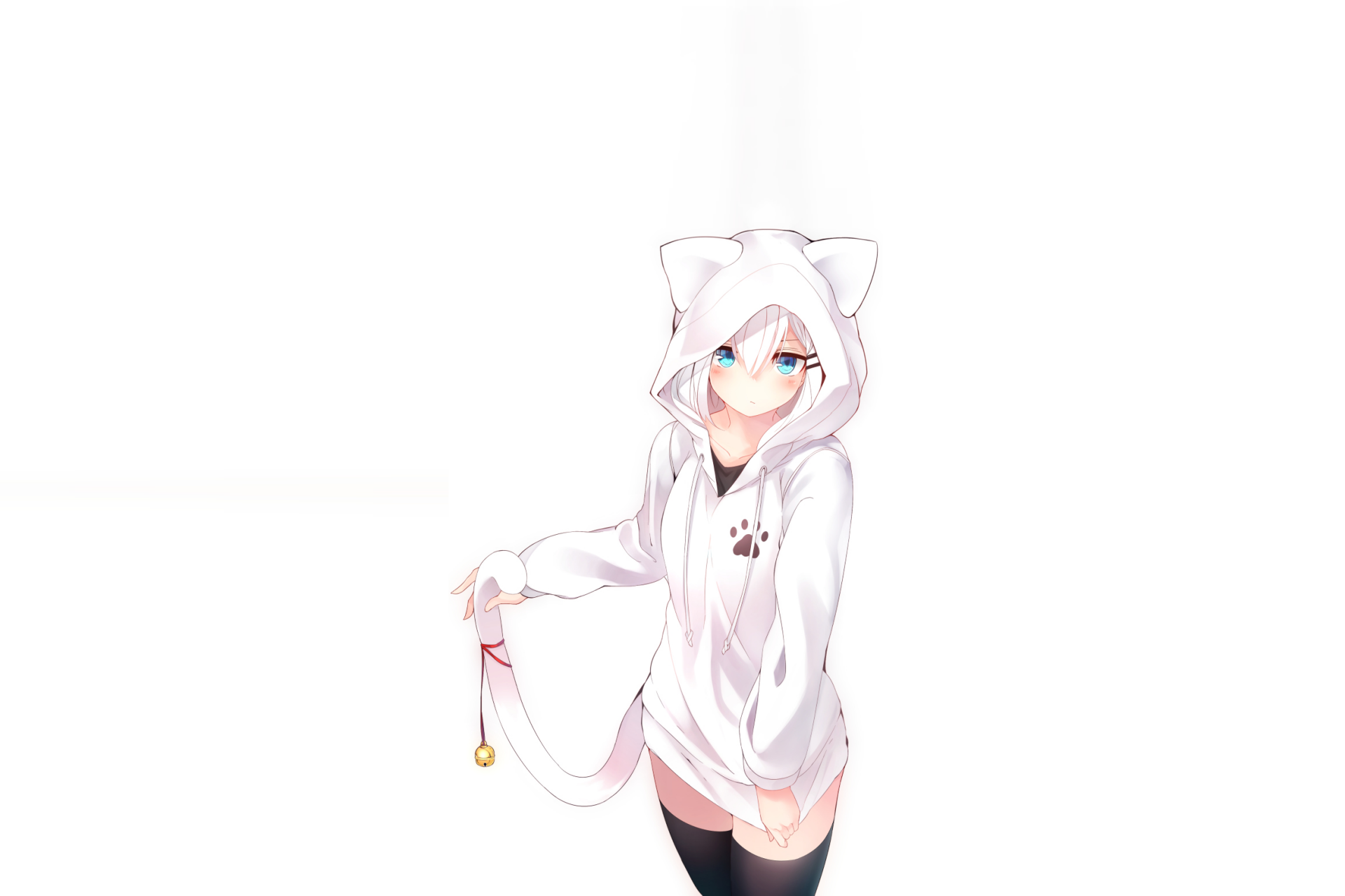 Anime-style character with white hair, blue eyes, and a tail, wearing a white cat-eared jacket, set against a clean white background as an HD PC desktop wallpaper.