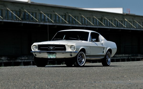 Vehicles Ford Mustang Fastback Ford Ford Mustang Car White Car Muscle Car Fastback HD Wallpaper | Background Image