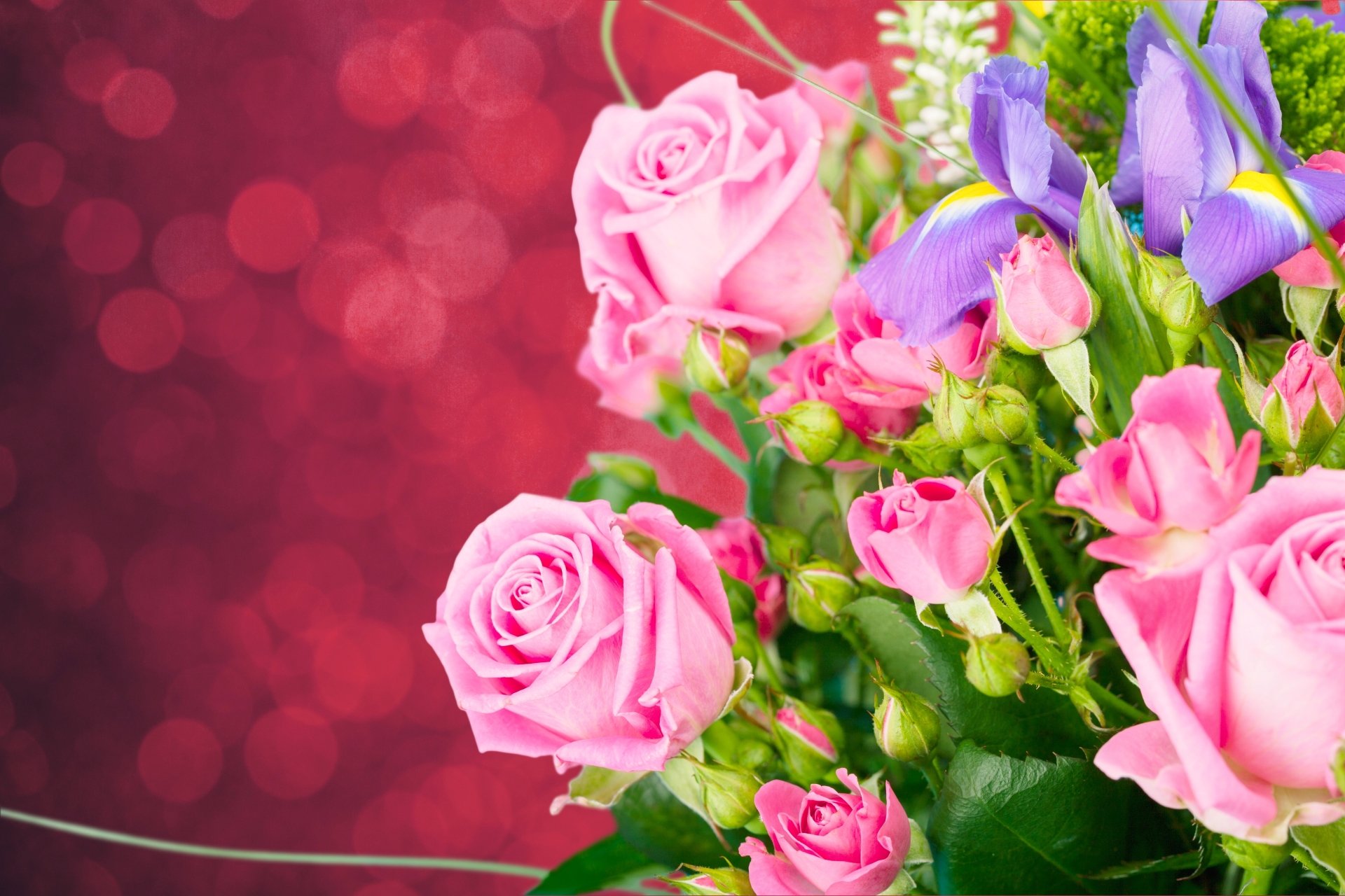 Download Pink Flower Bokeh Flower Nature Rose 4k Ultra HD Wallpaper ...