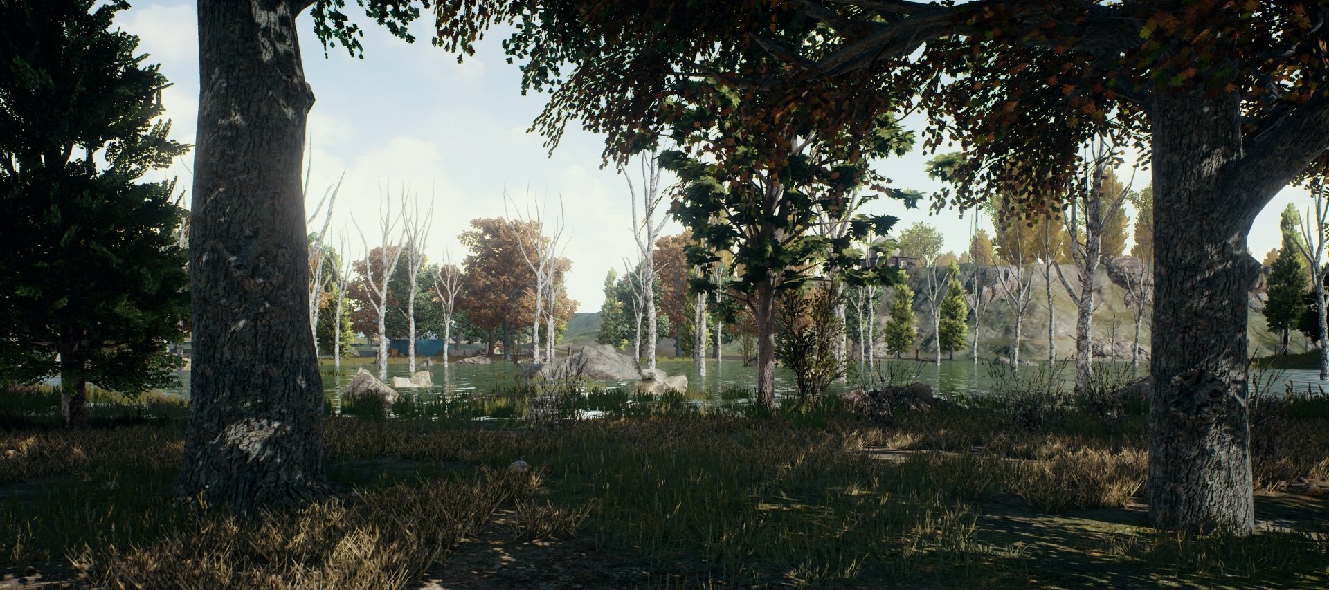 HD desktop wallpaper of a serene forest scene from the video game Playerunknown's Battlegrounds, featuring lush trees, a tranquil lake, and colorful autumn foliage.