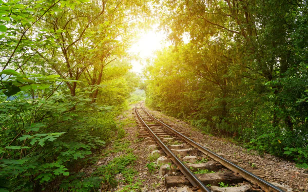 sunshine man made railroad HD Desktop Wallpaper | Background Image