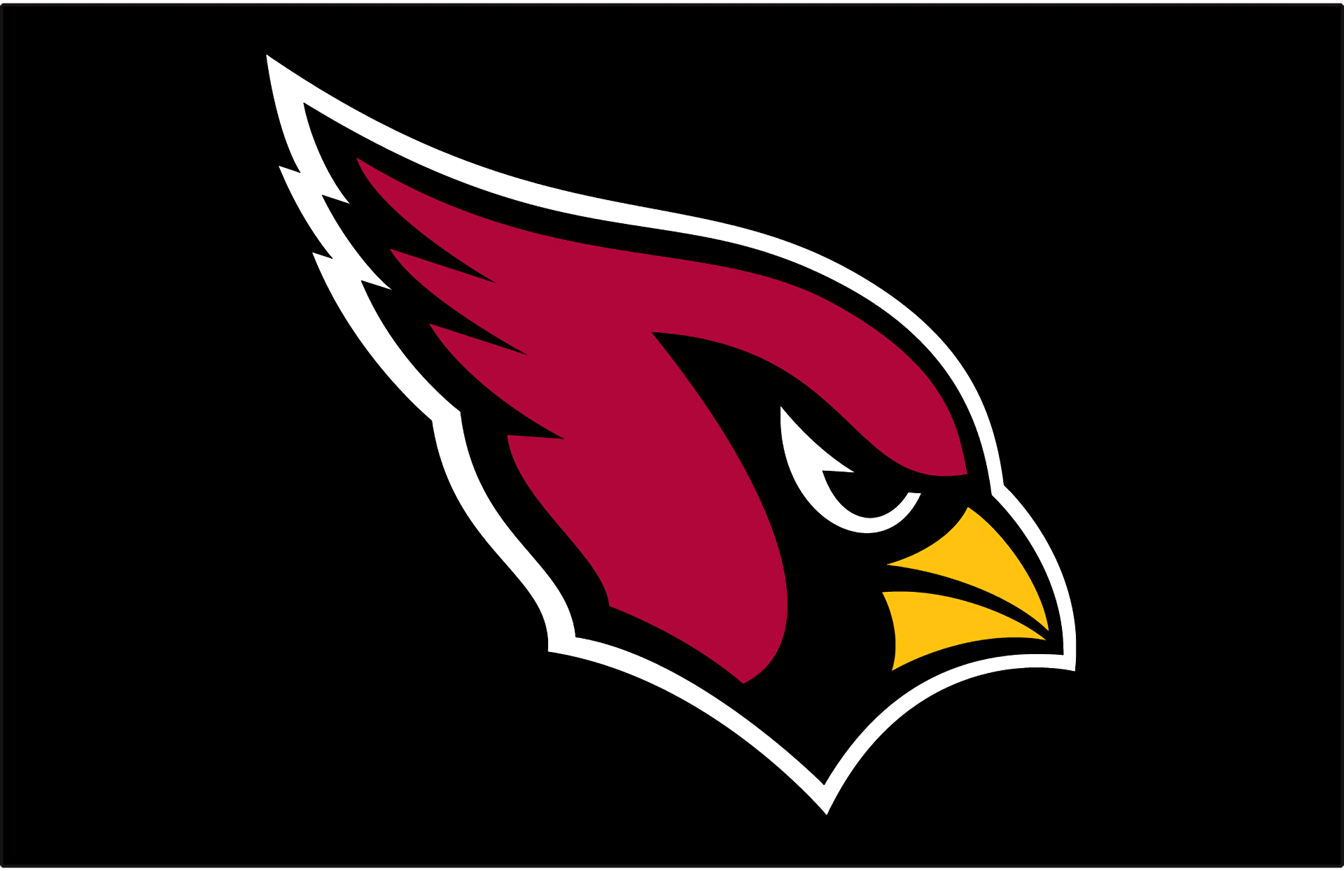 Download Arizona Cardinals Sports HD Wallpaper