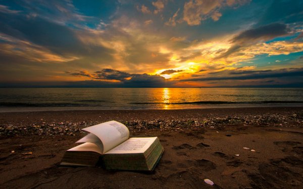 Man Made Book Beach Ocean Sea Sunset Horizon HD Wallpaper | Background Image