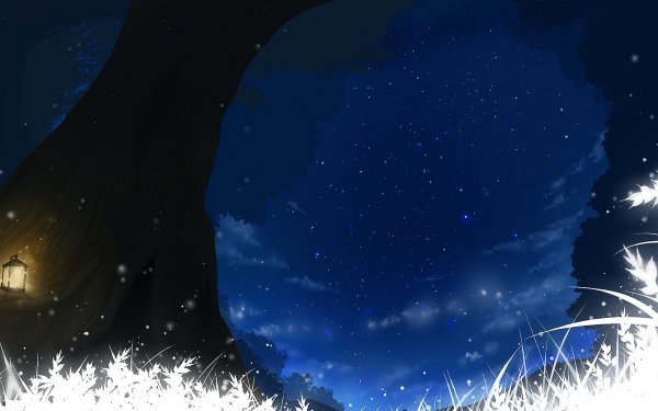 Anime Original Night Grass Lantern Stars Sky HD Wallpaper | Background Image