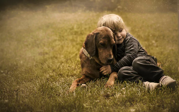 A child lovingly hugging a dog on grass, captured in a warm, cute moment of friendship and love, rendered as a 4K Ultra HD desktop wallpaper.