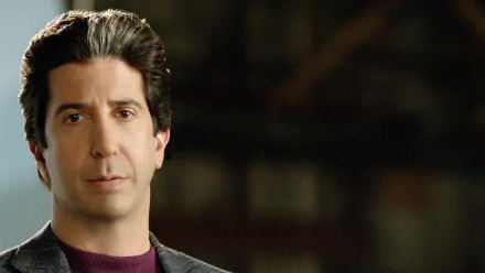 David Schwimmer TV Show American Crime Story HD Desktop Wallpaper | Background Image